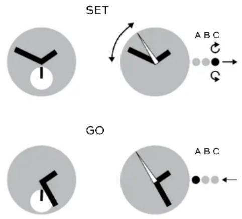 SWATCH Brossing GN244 - 1