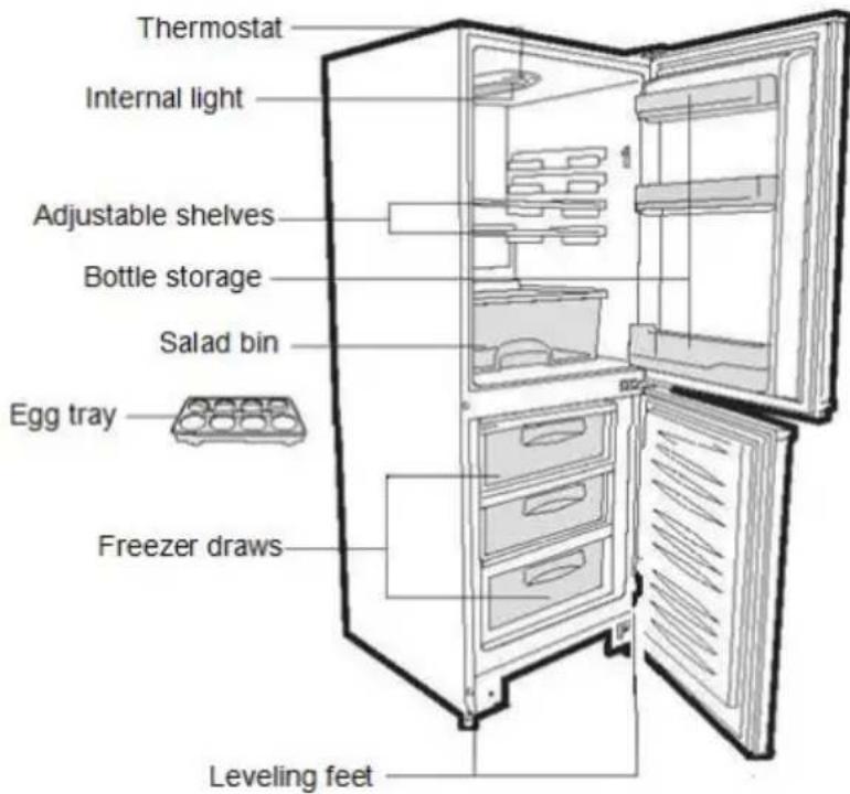 CANDY CMNV 6202X - COMBI REFRIGERATOR CANDY - 1