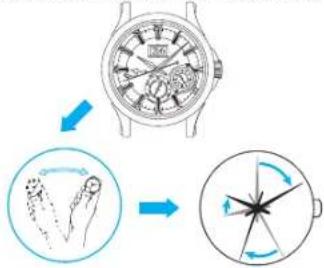 SEIKO Premier SNP150P1 - FONCTION ECONOMIE D'ENERGIE ET FONCTION RELAIS HORAIRE - 1