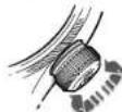 Oris Artelier Dexter Gordon - 2.ENEPEPONOHHTOY - 1