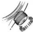Oris Artelier Dexter Gordon - 2.AKTHBAUAR AABTMETPA - 1