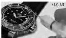 Oris Aquis Staghorn - Mepn ou anotateoov to Krt kaatapoiou - 3