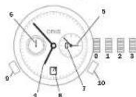 Oris Aquis Staghorn - pozysy - 1