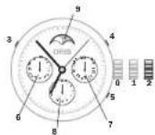 Oris Aquis Staghorn - Complicazione - 1
