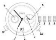 Oris Aquis Staghorn - 世界时区表 - 1