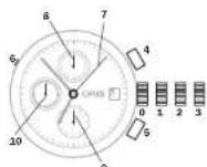 Oris Aquis Staghorn - Leitura do tempo medido: - 1