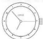 Oris Aquis Hammerhead - 2^n time zone on outer rotating bezel. - 1