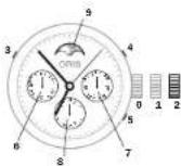 Oris Aquis Hammerhead - Complication. - 1
