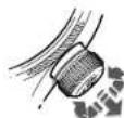 Oris Aquis Hammerhead - MODE NEUTRE - 4