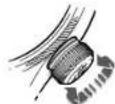Oris Aquis Clipperton - AKTIVASYONU - 1