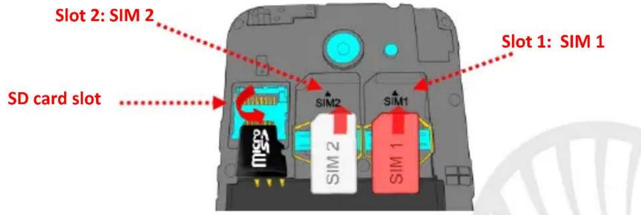 NGM Forward Shake Color - Setup - 1
