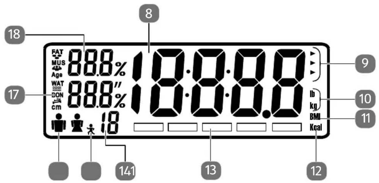 QUIGG MD 18800 - Das Display - 1