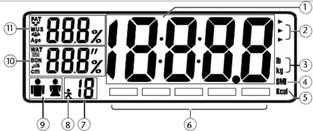 11 FAT 88.8% MUS Age 88.8% 10 WAT 88.8% BON cm 88.8% 18 12:00:00 lb kg BMI Kcal 6 9 8 7