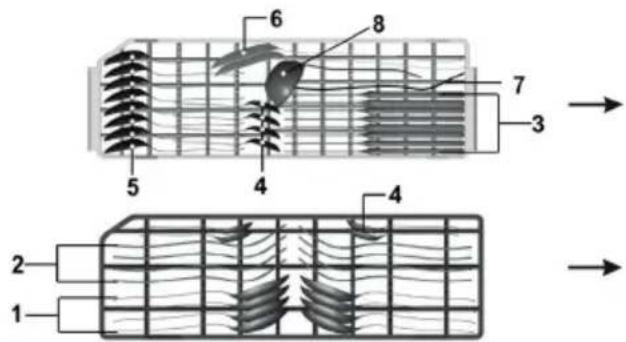 Klarstein 10031524 - Hints on Loading the Dishwasher - 4