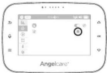 ANGELCARE AC315 - DELETE GRAPHING DATA: - 2