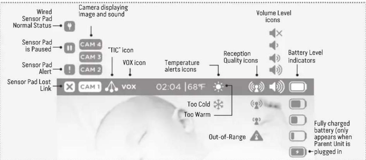 ANGELCARE AC315 - INFO BAR IMPORTANT ICONS - 1