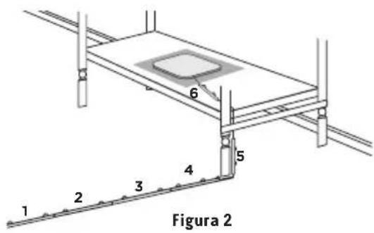 6 5 1 2 3 4 Figura 2