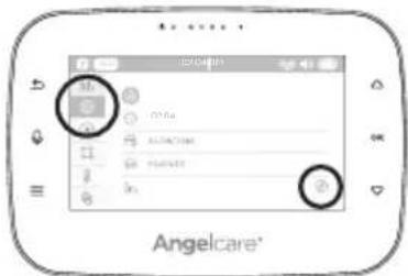 ANGELCARE AC315 - DELETE GRAPHING DATA: - 1
