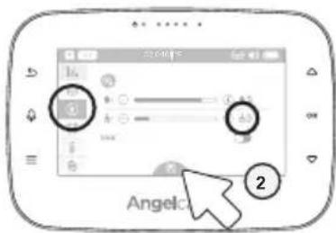 Angelo 2