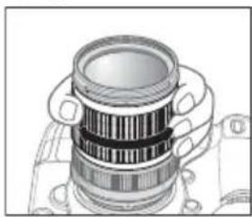 NIKON Nikkor AFS DX 18105mm f3.55.6G ED VR - 主，吾且神王 - 1