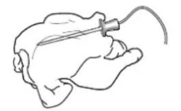 BAUKNECHT ECSK11 F845 - DE VOEDSELSONDE GEBRUIKEN - 1