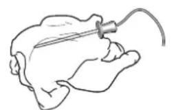 BAUKNECHT ECSK11 F845 - VERWENDUNG DER SPEISENSONDE - 1