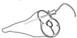 BAUKNECHT ECSK11 F845 - VERWENDUNG DER SPEISENSONDE - 2