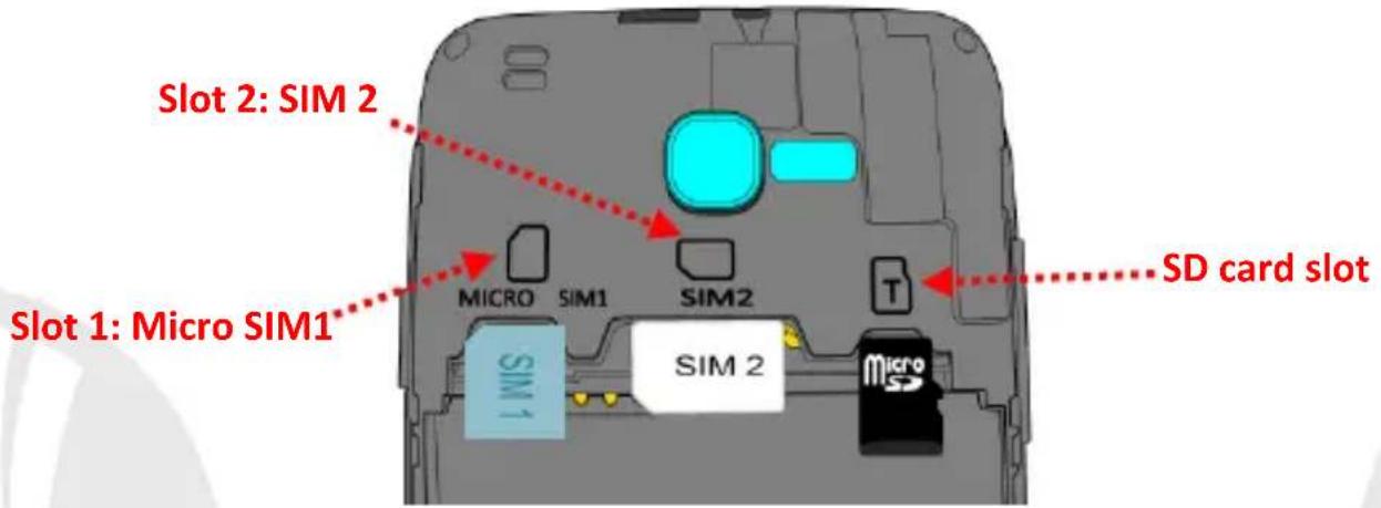 NGM Dynamic Jump L Color - Set up - 1