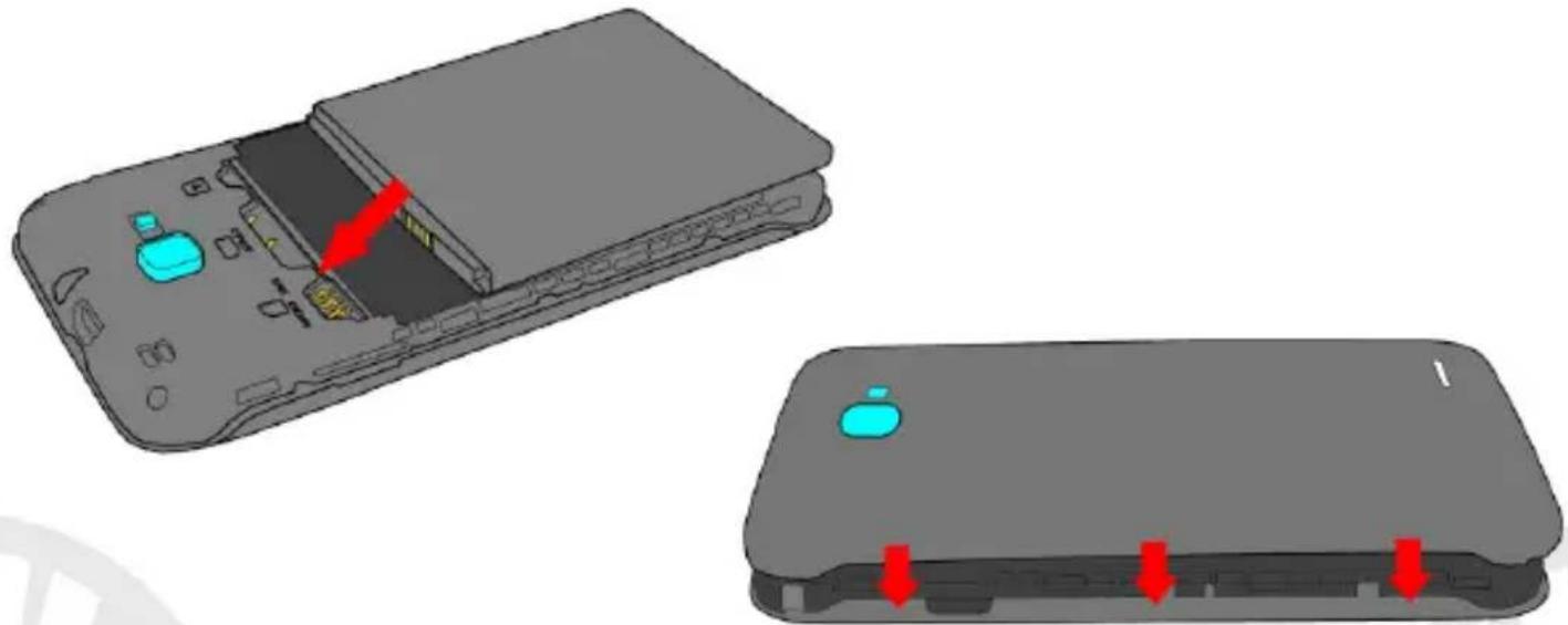 NGM Dynamic Jump L Color - Assemblage - 2