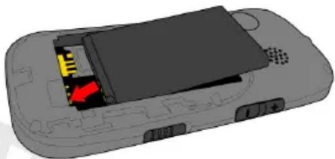 NGM Echo - 2