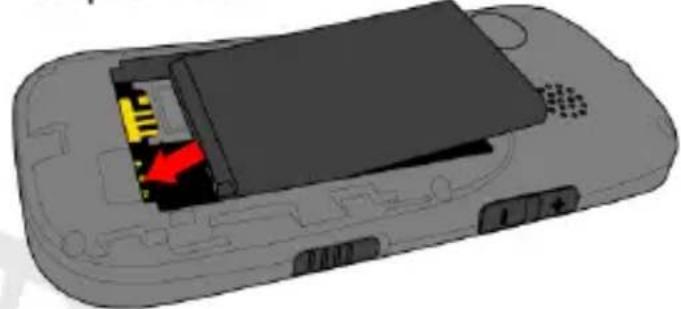 NGM Echo - 2