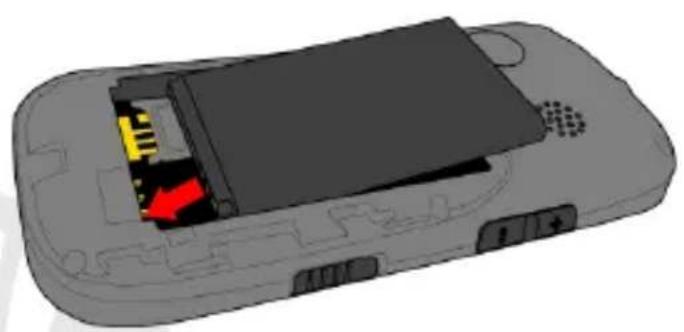 NGM Echo - 3