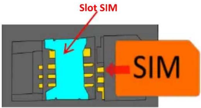 NGM Facile Subito - 1