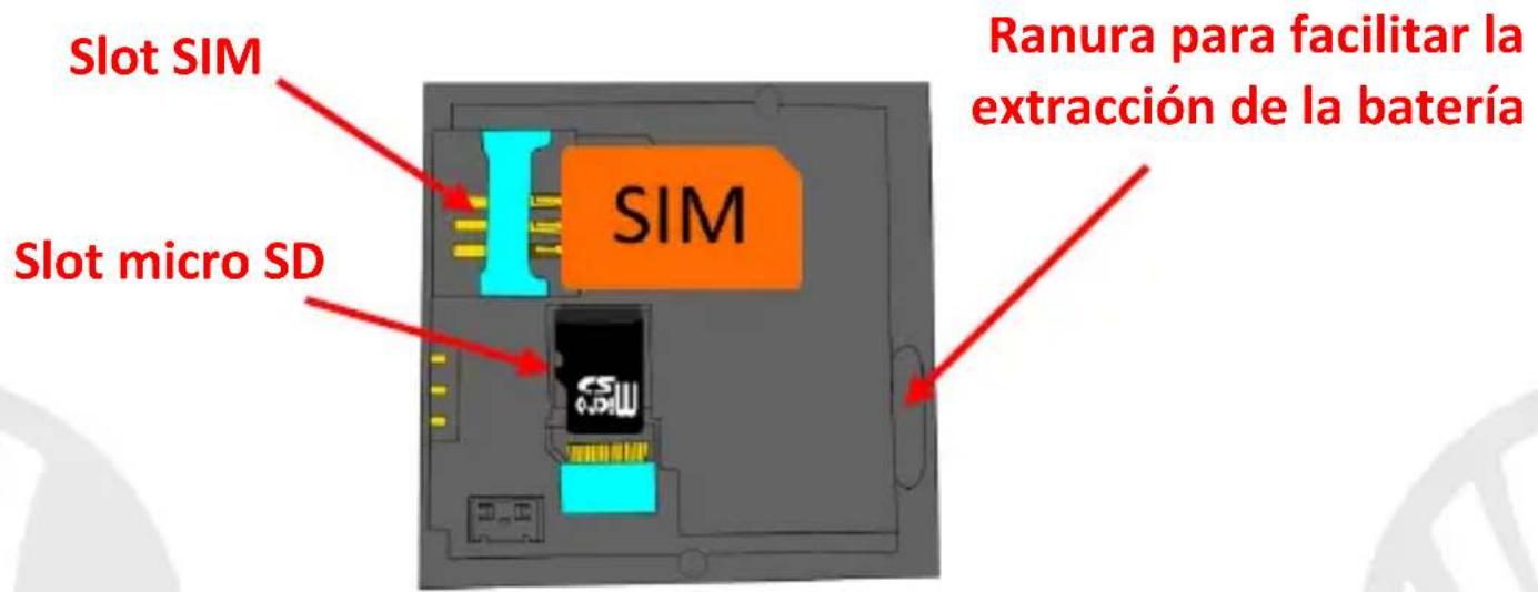NGM Facile Idea - 1