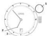 Oris ProDiver Pointer Moon - Indicador del 2^ fuso crario sulla lunetta girevale Interna con corona verticale. - 1