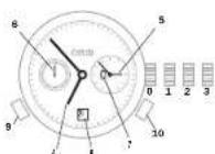 Oris ProDiver Chronograph - (1-20)位 - 1