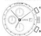 Oris ProDiver Chronograph - Echelle télémétrique - - 1