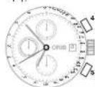 Oris Divers Movember - # - 1