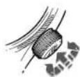 Oris Artelier Calibre 113 - 5.返回中性模式 - 1