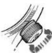 Oris Artelier Calibre 113 - MODE NEUTRE - 1