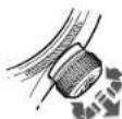 Oris Artelier Calibre 111 - MODE NEUTRE - 4