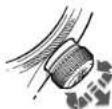 Oris Aquis Source of Life - 1