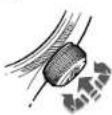 Oris Aquis Source of Life - RETURNING TO NEUTRAL - 1