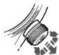 Oris Aquis Source of Life - MODE NEUTRE - 4