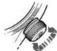 Oris Aquis Great Barrier Reef - MODO NEUTRO - 1