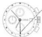 Oris Aquis Great Barrier Reef - Второй часовой пояс с дополнительной 24-часовой стрелкой - 1