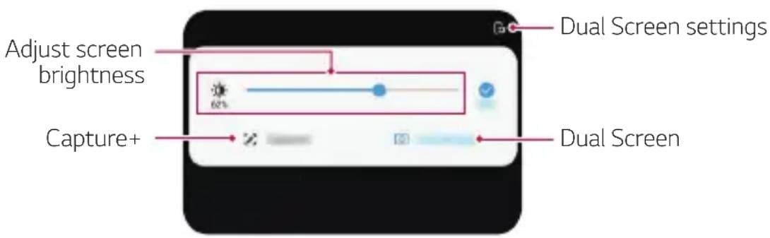 LG LMV500EM - Using the Dual Screen Panel - 1