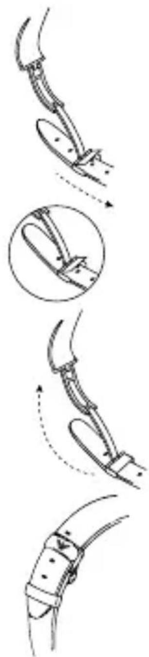 Armani AR2460 - ANPASSEN DES ARMBANDES - 1