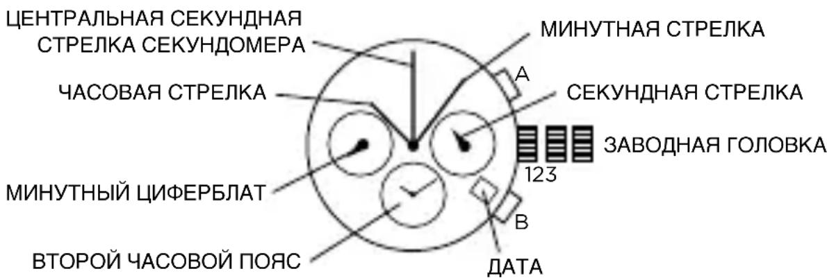 Armani AR2460 - XPOHOrPAΦ CДBOHbIM LInΦEPbIATOM - 1