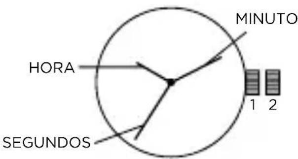 Armani AR2460 - PONTEIROSE E 3 PONTEIROs - 1